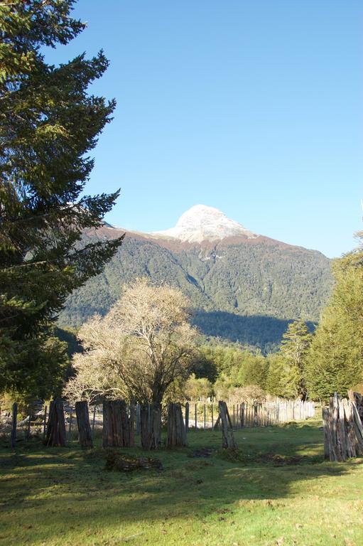 Casa Campo Carretera Austral Puerto Cisnes Ngoại thất bức ảnh